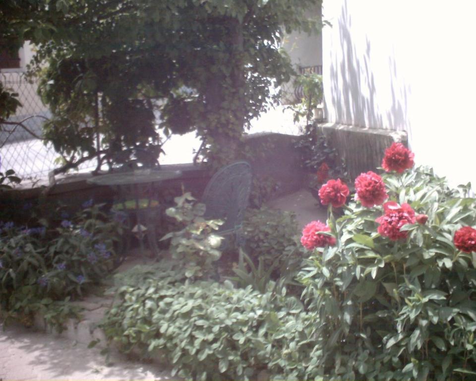 Vaque Les Angles Apartment ห้อง รูปภาพ